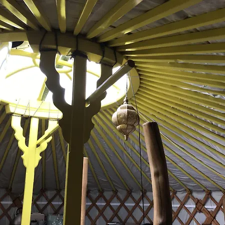 Goldfinch Yurt بيت للعطل *
